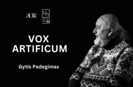 Ketvirtoji tinklalaidė &bdquo;Vox Artificum&ldquo;